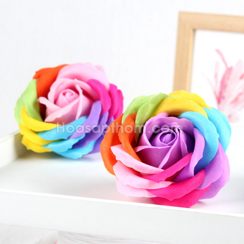 Sỉ Hoa 7 màu Cầu Vồng
