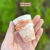  Chậu đất nung mini 5x5cm 