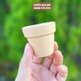  Chậu đất nung mini 5x5cm 