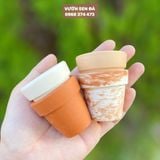  Chậu đất nung mini 5x5cm 