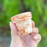  Chậu đất nung mini 5x5cm 