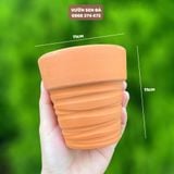  Chậu đất nung đỏ cắt rối 