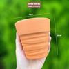  Chậu đất nung đỏ cắt rối 