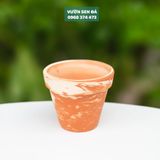  Chậu đất nung 7x7cm 