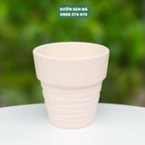  Chậu đất nung 11x11cm 