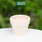  Chậu đất nung 9x9cm 