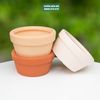  Chậu đất nung 14x7cm 