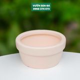  Chậu đất nung 14x7cm 