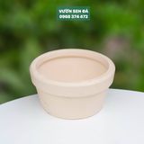  Chậu đất nung 17x9cm 