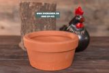  Chậu đất nung đỏ 17x9cm 