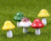  Nấm mini 