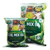  Soi mix - Đất trồng sen đá trộn sẵn 