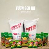  Đất sét nung Popper Thái Lan siêu nhẹ (1 lít) - Vườn sen đá 