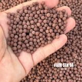  Đất sét nung Popper Thái Lan siêu nhẹ (1 lít) - Vườn sen đá 