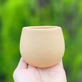  Chậu đất nung hạt dẻ 8.5x8.5cm 