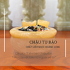 Chậu tụ bảo ngọc hoàng long