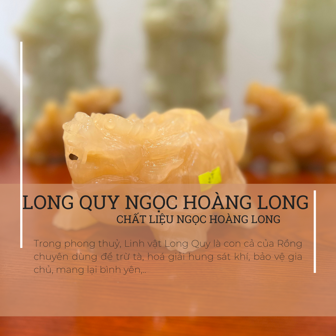 Long quy ngọc Hoàng Long