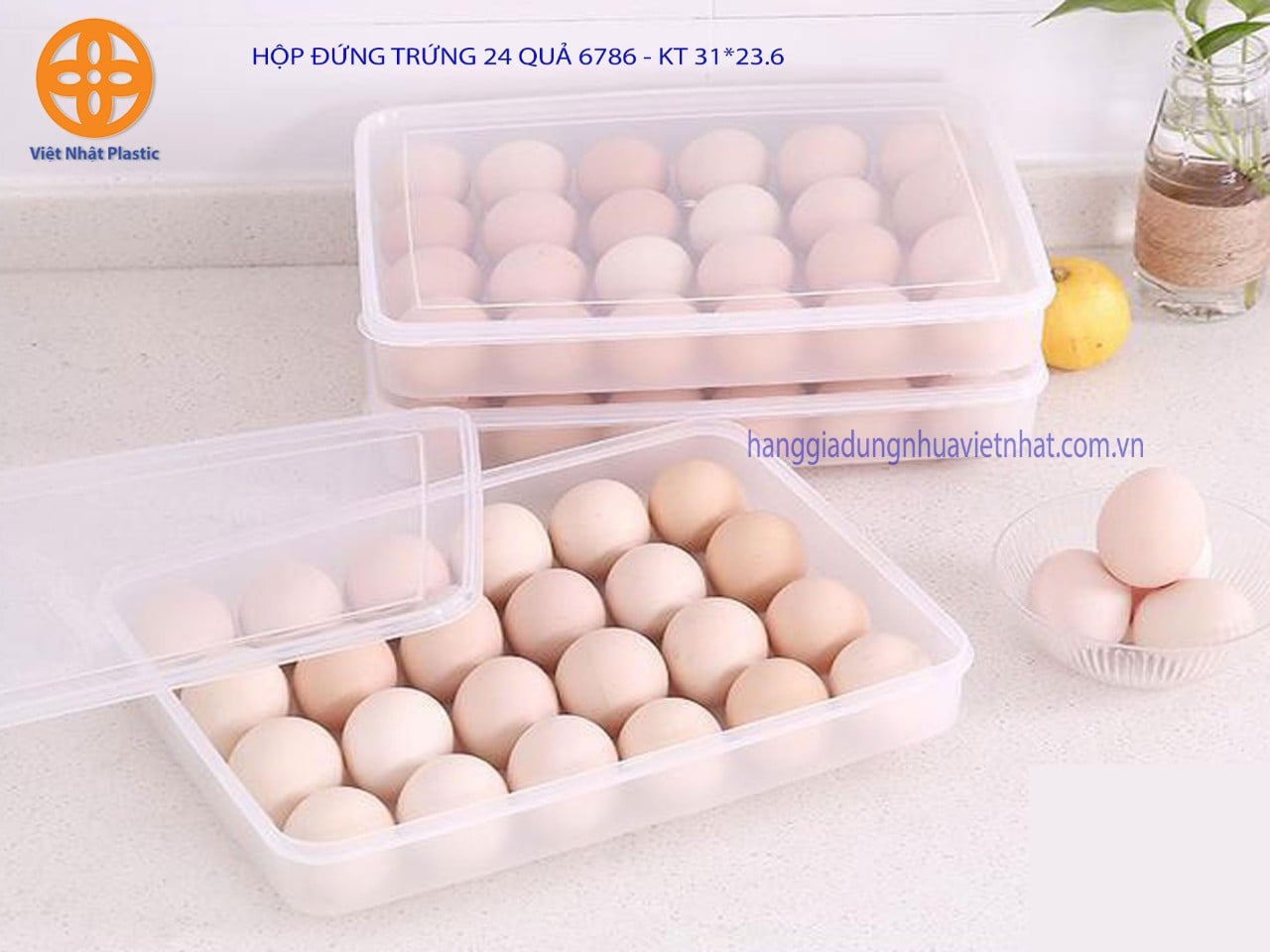 Hộp đựng trứng 24 quả 6786