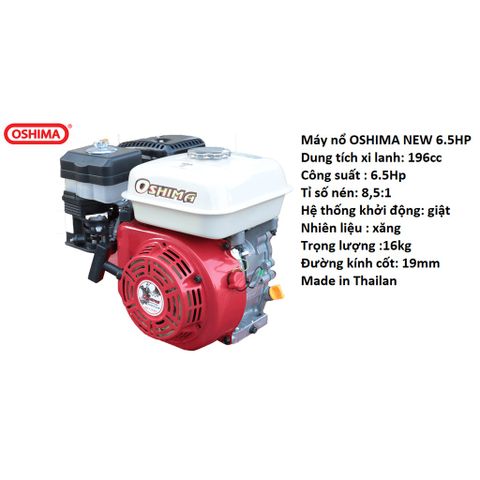 Máy nổ OSHIMA NEW 6.5HP