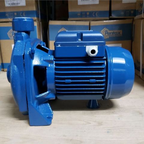 Máy bơm nước dân dụng Pentax CMT 100