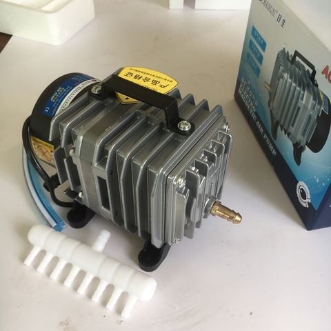 MÁY BƠM OXY RESUN ACO 004