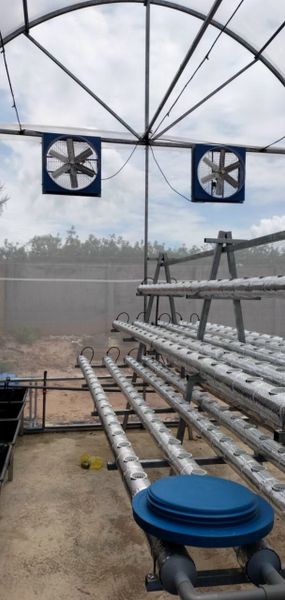 Quạt Thông Gió Vuông Lá Chớp Che Mưa 500x500