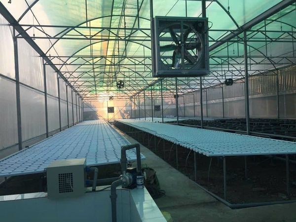 Quạt Vuông Công Nghiệp Gián Tiếp Hawin HSB1100 (220v/380v)