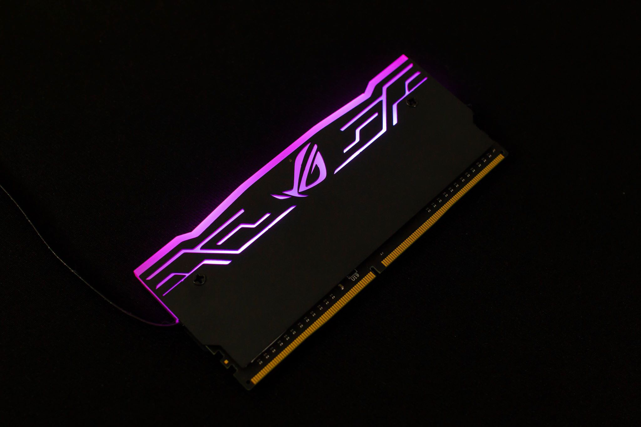 daily g502 n