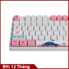 Bàn phím cơ AKKO 5108 World Tour Tokyo R2 SP (Hotswap / Foam tiêu âm / AKKO CS Switch)