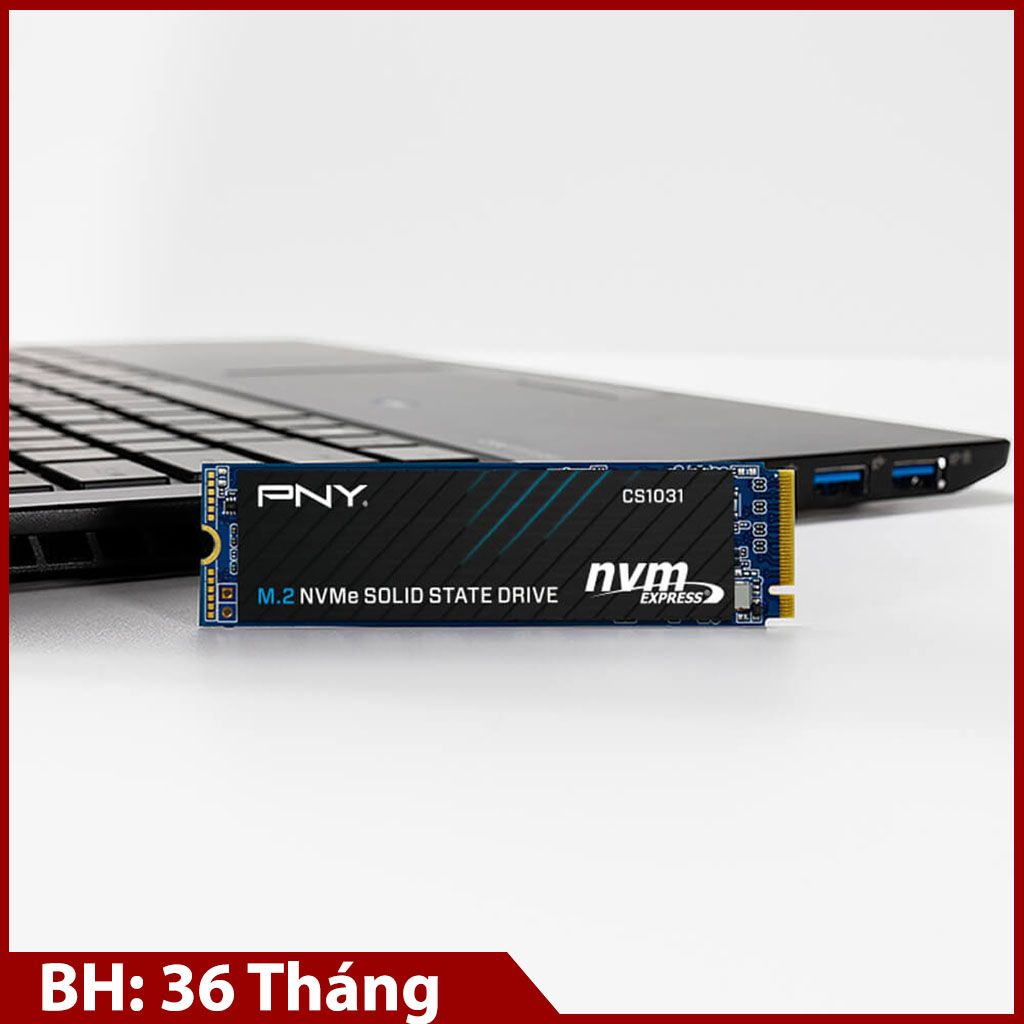 SSD PNY CS1031 500GB NVMe M.2