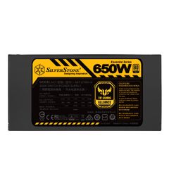 Nguồn SilverStone ET650-G TUF Alliance 80 Plus Gold