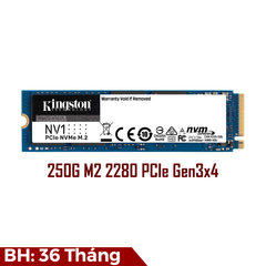 Ổ cứng SSD Kingston NV1 250GB NVMe PCIe Gen 3.0 x 4 (SNVS/250G)