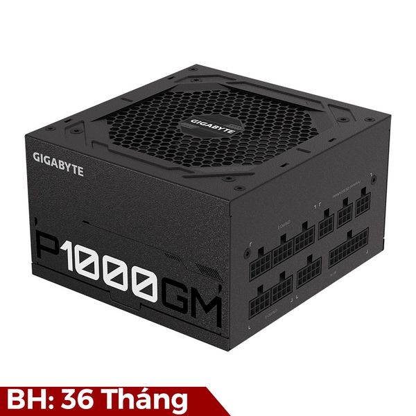 Nguồn GIGABYTE P1000GM - 1000W 80Plus Gold