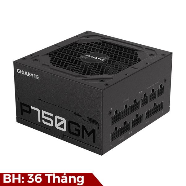 Nguồn GIGABYTE P750GM - 750W 80Plus Gold