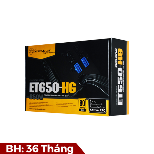 Nguồn SilverStone ET650-HG Semi Modullar 80 Plus Gold