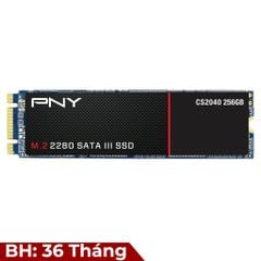 SSD M.2 PNY CS2040 256G (SATA III)