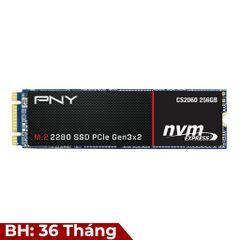 SSD PNY CS2060 256G M2-PCIe NVMe