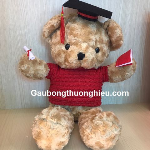  GẤU TEDDY TỐT NGHIỆP 60CM 