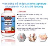 Glucosamin Viên uống bổ khớp của Mỹ Kirkland Signature Glucosamine with MSM hộp 375 viên