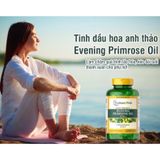 Tinh dầu Hoa Anh Thảo Evening Primrose Oil 100mg  120 viên Mỹ .