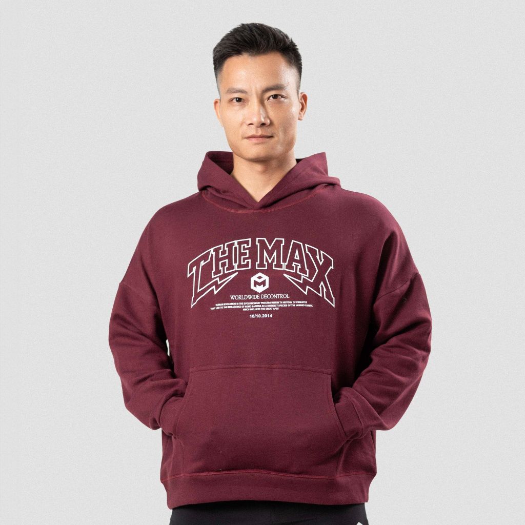 Áo hoodie vải nỉ trần bông 14 màu THE MAX G11222