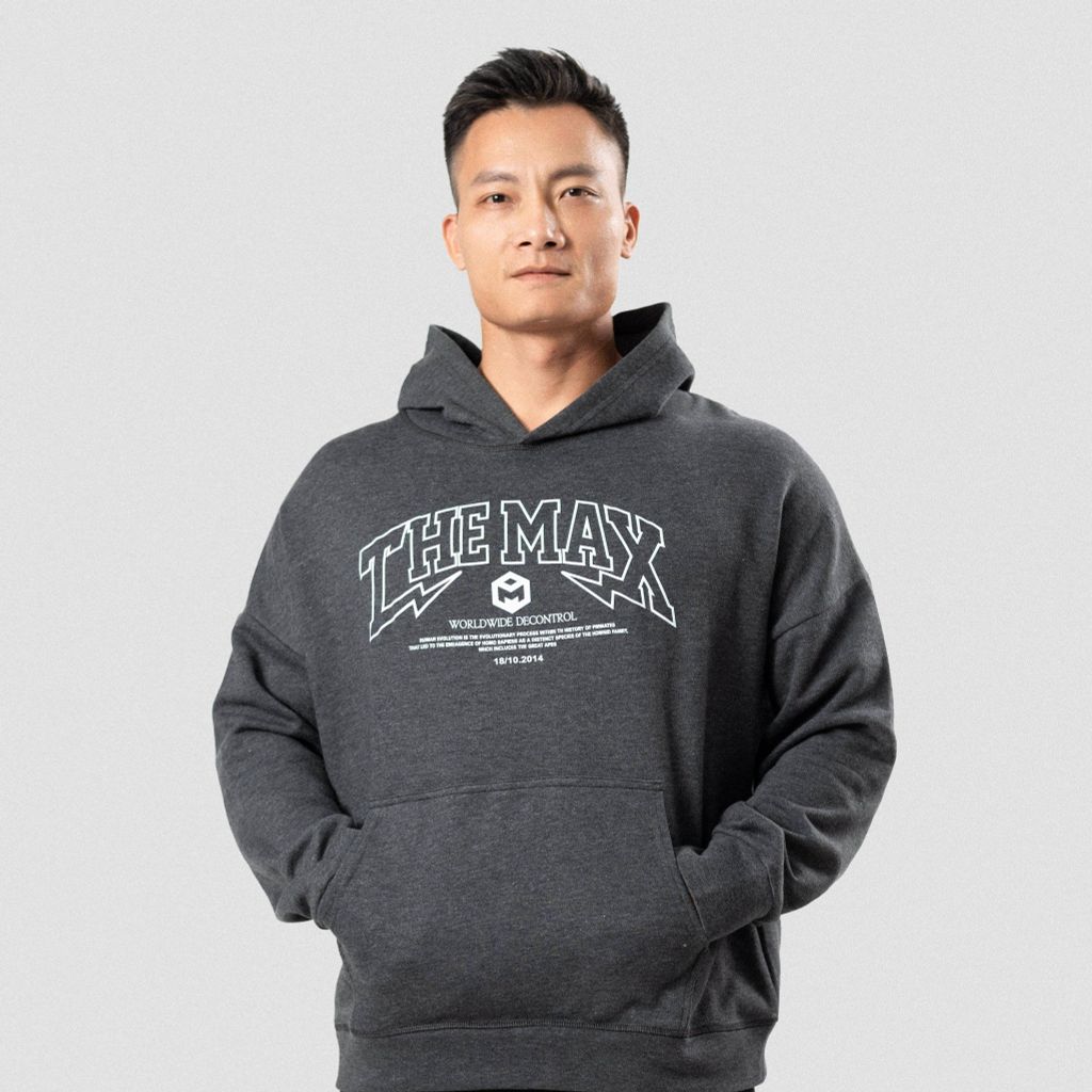 Áo hoodie vải nỉ trần bông 14 màu THE MAX G11222