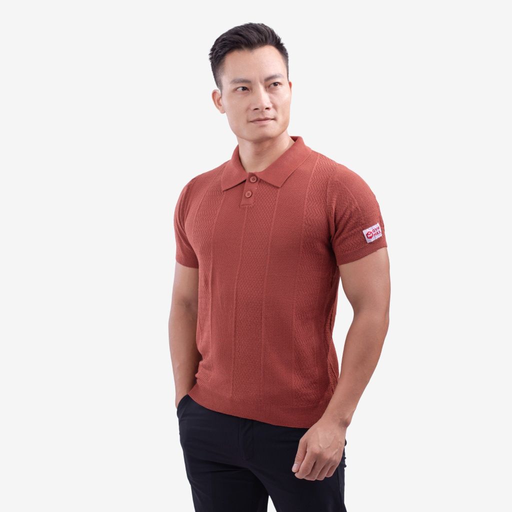 Áo Polo Dệt Kim Dáng Suông THE MAX G10208