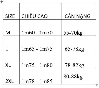 Bộ cộc tay phối màu THEMAX( vải thun lụa )