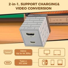 IINE 2-in-1 Mini 20W Charging & Video Converter cho Switch 4K30HZ 1080P60HZ