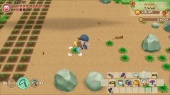 262 - Story of Seasons: Friends of Mineral Town