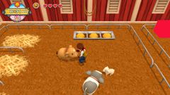 301 - Harvest Moon: One World