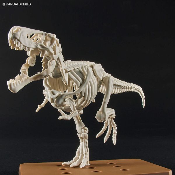 Mô hình Plannosaurus Tyrannosaurus - Model Kit Chính hãng Bandai