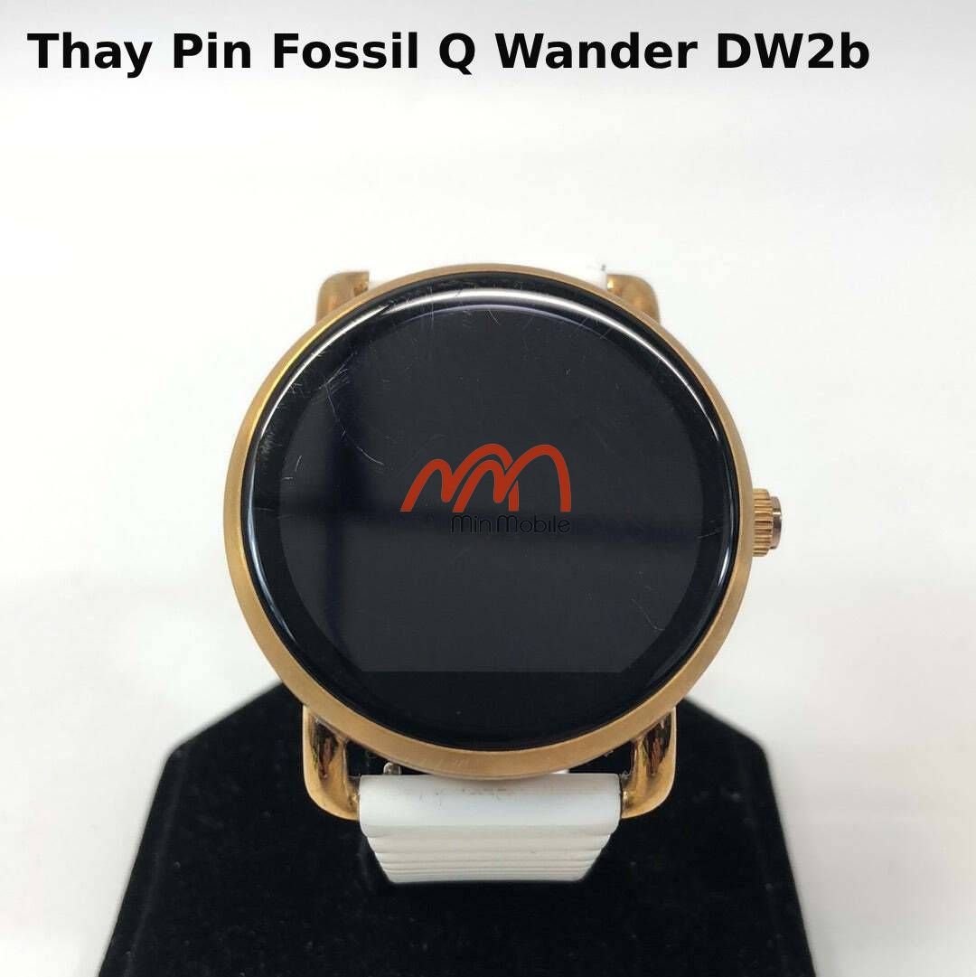 Dw2b fossil hot sale