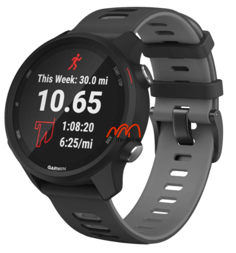 Dây Đeo 2 Màu Garmin Forerunner 645